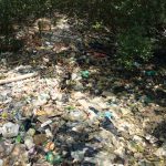 Ilustrasi polusi plastik. Foto: Dini Jembar Wardani