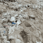 Pembahasan isu kesehatan mendesak dalam perjanjian plastik global. Foto: Dini Jembar Wardani