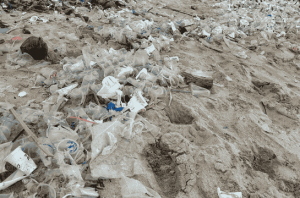 Pembahasan isu kesehatan mendesak dalam perjanjian plastik global. Foto: Dini Jembar Wardani