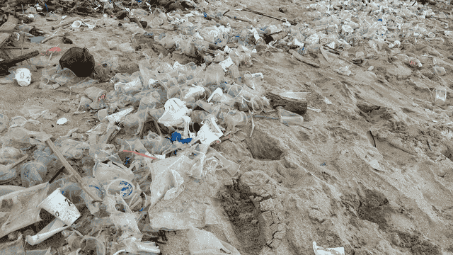 Pembahasan isu kesehatan mendesak dalam perjanjian plastik global. Foto: Dini Jembar Wardani