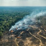 Walhi melaporkan 29 perusahaan perusak lingkungan ke Kejagung. Foto: Freepik
