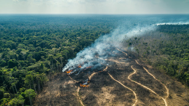 Walhi melaporkan 29 perusahaan perusak lingkungan ke Kejagung. Foto: Freepik
