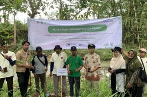 Mahasiswa UGM menanam 500 bibit bambu di Gunungkidul. Foto: UGM