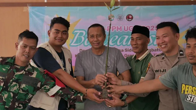 Mahasiswa UGM menanam 2.000 mangrove untuk memulihkan pesisir Pulau Bawean. Foto: Berita UGM
