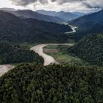 Organisasi masyarakat sipil berharap revisi UU Kehutanan tidak DPR lakukan secara tambal sulam. Foto: Istimewa