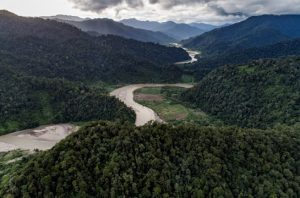 Organisasi masyarakat sipil berharap revisi UU Kehutanan tidak DPR lakukan secara tambal sulam. Foto: Istimewa