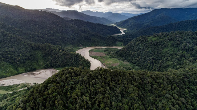 Organisasi masyarakat sipil berharap revisi UU Kehutanan tidak DPR lakukan secara tambal sulam. Foto: Istimewa