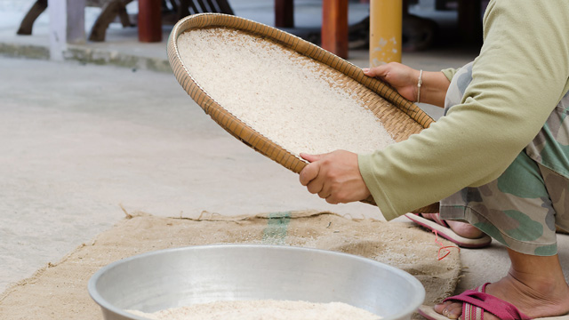 Harga beras di Indonesia melonjak 16% imbas krisis iklim. Foto: Freepik