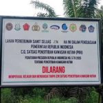 Walhi ungkap sederet konflik di balik penertiban kawasan hutan. Foto: Walhi