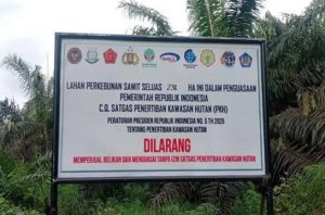 Walhi ungkap sederet konflik di balik penertiban kawasan hutan. Foto: Walhi