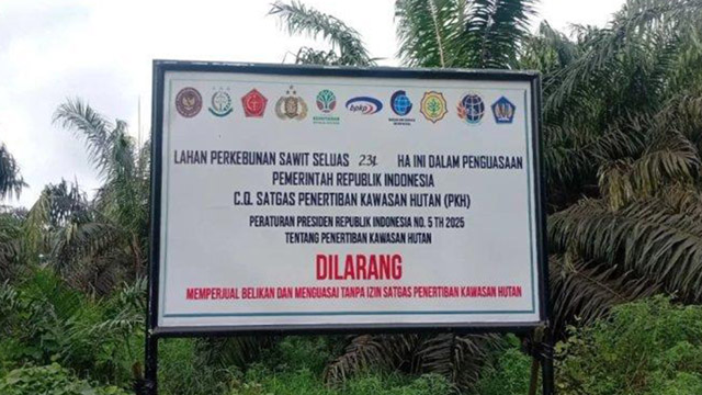 Walhi ungkap sederet konflik di balik penertiban kawasan hutan. Foto: Walhi