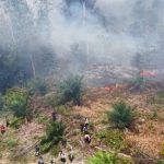 Lahan terbakar di Riau. Foto: KLH