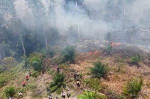 Lahan terbakar di Riau. Foto: KLH