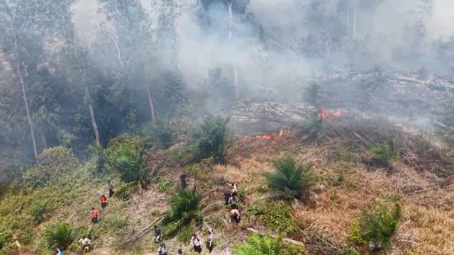 Lahan terbakar di Riau. Foto: KLH