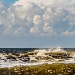 BRIN mengungkap bioremediasi mikroba bisa jadi solusi tumpahan minyak di laut. Foto: Freepik