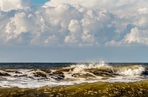 BRIN mengungkap bioremediasi mikroba bisa jadi solusi tumpahan minyak di laut. Foto: Freepik