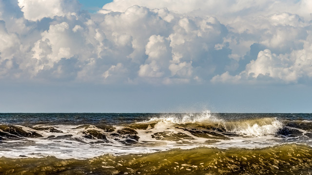 BRIN mengungkap bioremediasi mikroba bisa jadi solusi tumpahan minyak di laut. Foto: Freepik