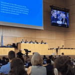 Negosiasi perjanjian plastik global berakhir tanpa kejelasan dan gagal mencapai kesepakatan. Foto: AZWI