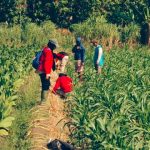 BRIN ungkap potensi sesar aktif di Semarang dan sekitarnya. Foto: BRIN