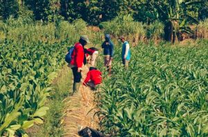 BRIN ungkap potensi sesar aktif di Semarang dan sekitarnya. Foto: BRIN