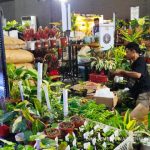 Pameran Variegata dan Kita. Foto: Dini Jembar Wardani