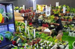 Pameran Variegata dan Kita. Foto: Dini Jembar Wardani