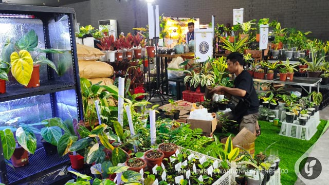 Pameran Variegata dan Kita. Foto: Dini Jembar Wardani