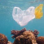 Ekspedisi IMPOLSE 2025 fokus meneliti mikroplastik di perairan Indonesia. Foto: Freepik