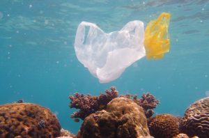 Ekspedisi IMPOLSE 2025 fokus meneliti mikroplastik di perairan Indonesia. Foto: Freepik