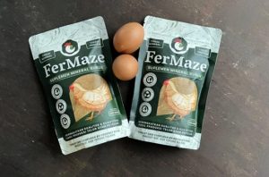 Mahasiswa UGM mengolah limbah ayam menjadi suplemen pakan kaya nutrisi. Foto: Berita UGM