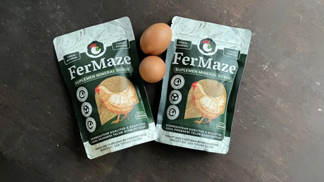 Mahasiswa UGM mengolah limbah ayam menjadi suplemen pakan kaya nutrisi. Foto: Berita UGM