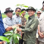 Kemenhut menargetkan pembagian 17 juta bibit pohon untuk masyarakat. Foto: Kemenhut