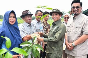 Kemenhut menargetkan pembagian 17 juta bibit pohon untuk masyarakat. Foto: Kemenhut