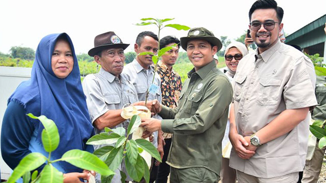 Kemenhut menargetkan pembagian 17 juta bibit pohon untuk masyarakat. Foto: Kemenhut