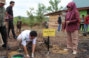 Jelang Hari Ozon, Belantara tanam bibit Balangeran dan Balam. Foto: Belantara Foundation