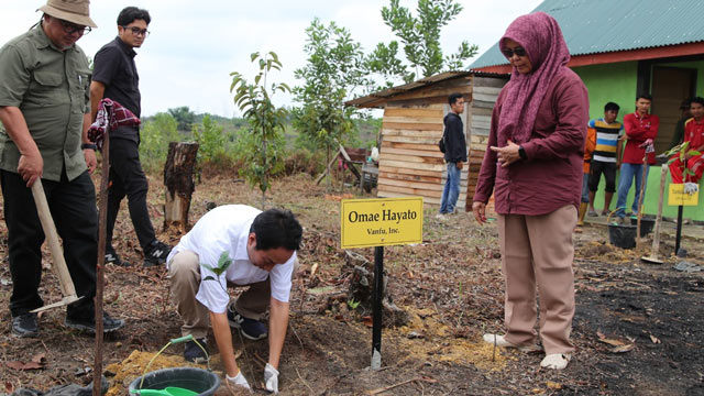 Jelang Hari Ozon, Belantara tanam bibit Balangeran dan Balam. Foto: Belantara Foundation