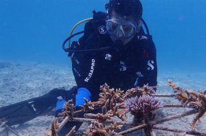 Kolaborasi KKP rehabilitasi terumbu karang di perairan Pulau Pieh. Foto: KKP