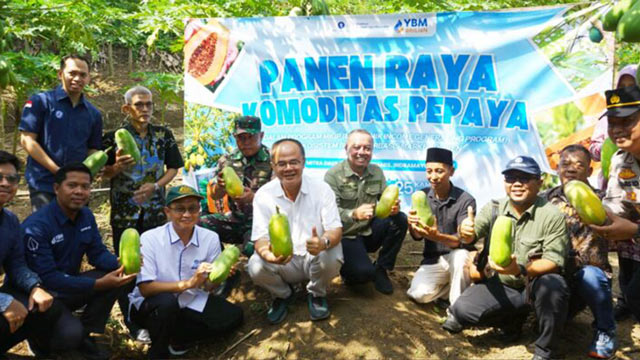 Petani Ciamis gelar panen raya pepaya calina di Hari Tani Nasional. Foto: Berita IPB