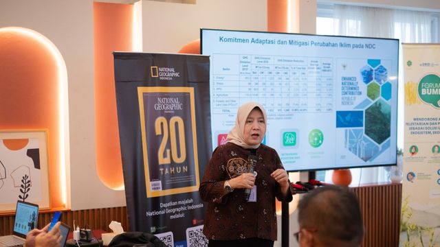 Besarnya potensi bambu untuk penggerak ekonomi dan target iklim. Foto: Kehati