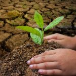 Indonesia tertinggal dalam mitigasi iklim karena gagal memenuhi tenggat pengajuan Second NDC ke PBB. Foto: Freepik