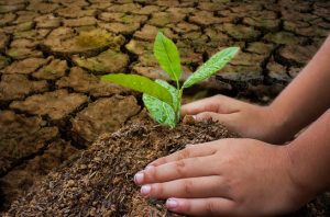 Indonesia tertinggal dalam mitigasi iklim karena gagal memenuhi tenggat pengajuan Second NDC ke PBB. Foto: Freepik