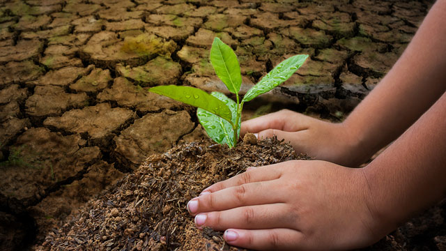 Indonesia tertinggal dalam mitigasi iklim karena gagal memenuhi tenggat pengajuan Second NDC ke PBB. Foto: Freepik
