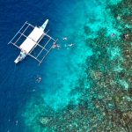 Keasaman laut naik 40 persen, mengancam ekosistem laut dan kehidupan nelayan. Foto: Freepik