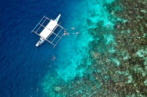 Keasaman laut naik 40 persen, mengancam ekosistem laut dan kehidupan nelayan. Foto: Freepik