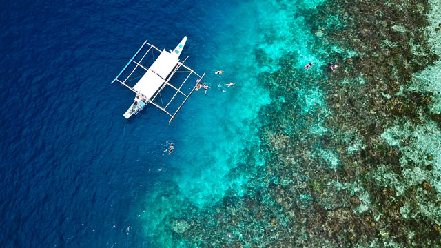 Keasaman laut naik 40 persen, mengancam ekosistem laut dan kehidupan nelayan. Foto: Freepik