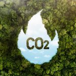 Pasar karbon Indonesia stagnan dan sepi peminat. Foto: Freepik