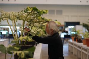 FLOII Expo 2025 mencatatkan total transaksi hingga 10 miliar rupiah. Foto: FLOII