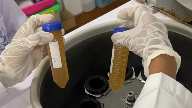 Mahasiswa UGM meniptakan plastik ramah lingkungan dari kulit pisang. Foto: Berita UGM