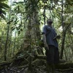 Laporan IIED menyebut hanya 10 persen dana iklim yang sampai ke masyarakat adat. Foto: Yayasan EcoNusa