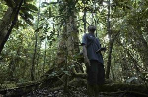 Laporan IIED menyebut hanya 10 persen dana iklim yang sampai ke masyarakat adat. Foto: Yayasan EcoNusa